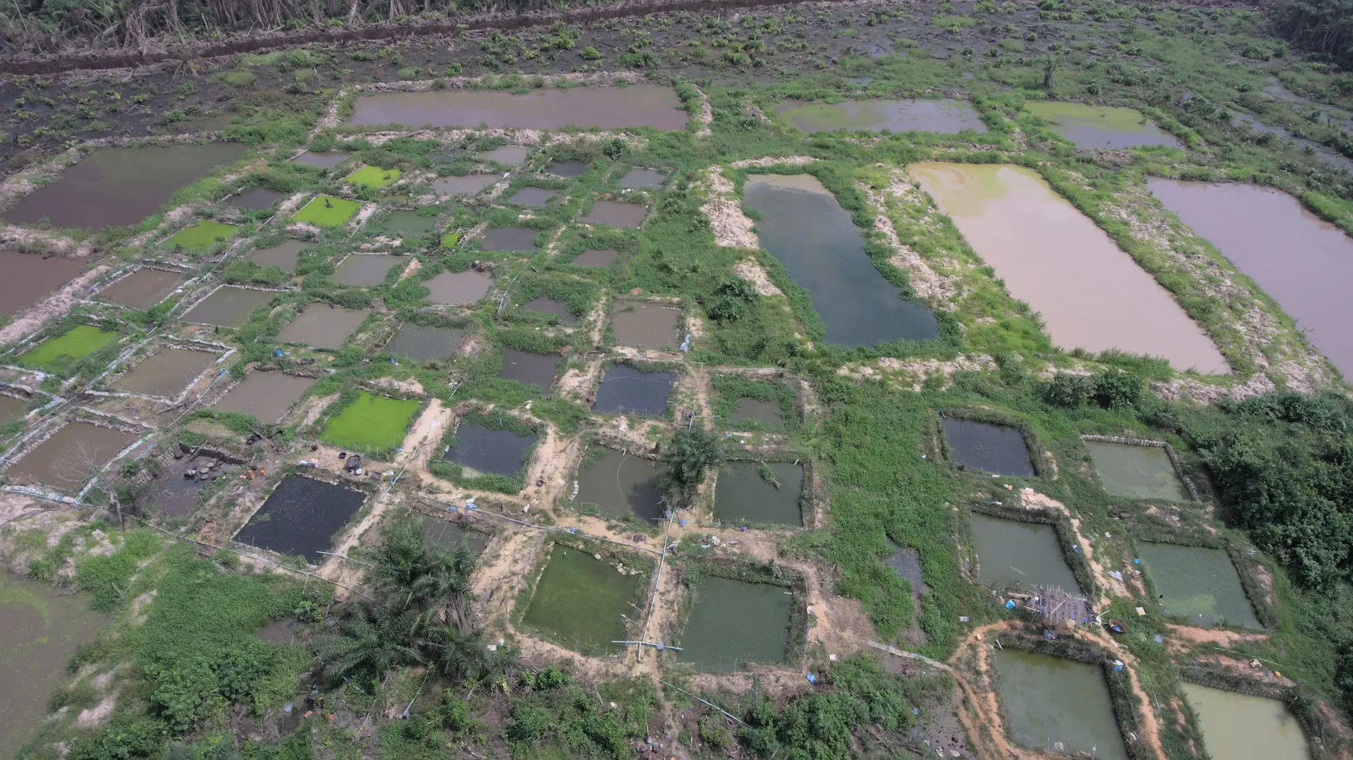 Delefresh Farms