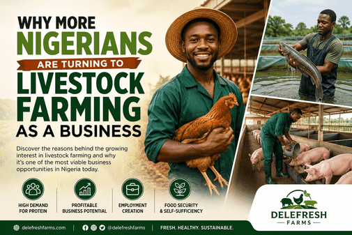 Why More Nigerians Are Turning to Livestock Farming as a Business