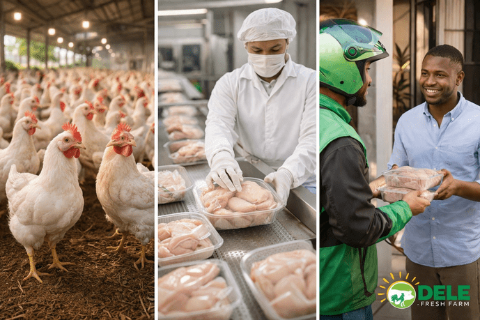 From Farm to Table: How Fresh Poultry Is Delivered in Lagos
