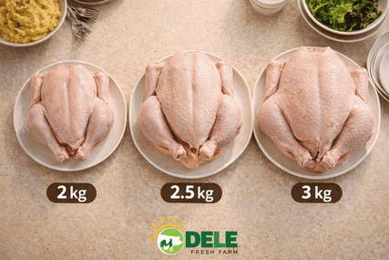 Best Chicken Size for a Family of 5 in Lagos