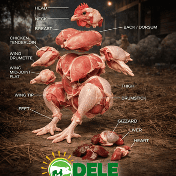 All Chicken Parts and Their Benefits Explained