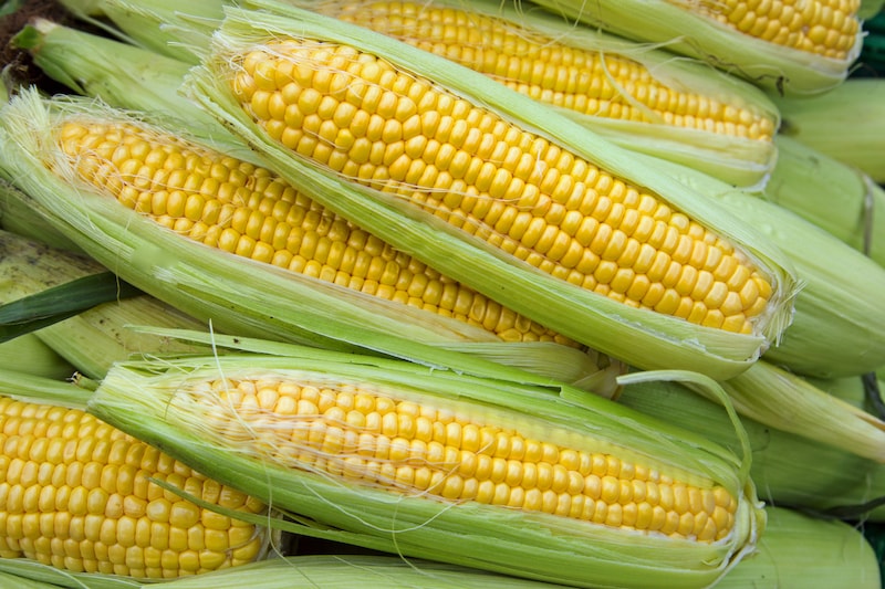 Sweetcorn